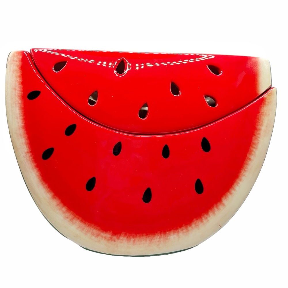 Scentsy Watermelon Wax Warmer